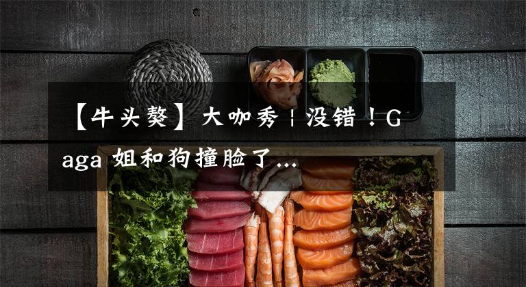 【牛头獒】大咖秀 | 没错！Gaga 姐和狗撞脸了...
