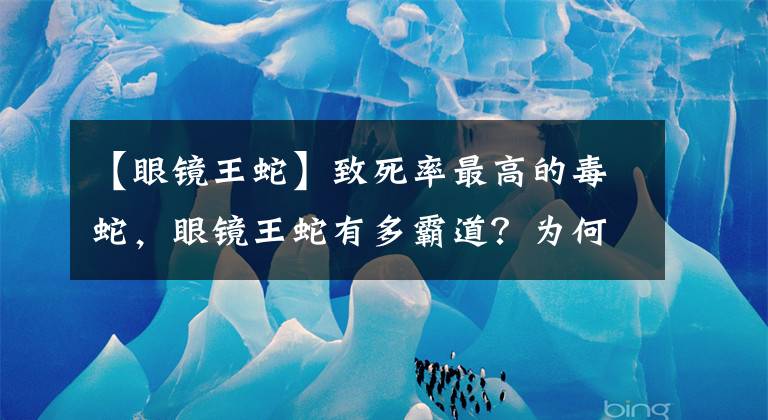 【眼镜王蛇】致死率最高的毒蛇,眼镜王蛇有多霸道?为何会追着人跑?