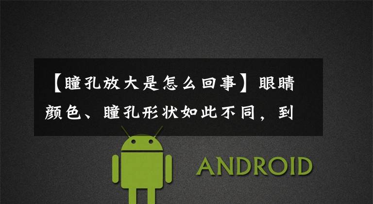 【瞳孔放大是怎么回事】眼睛颜色、瞳孔形状如此不同,到底是由什么决定的呢?