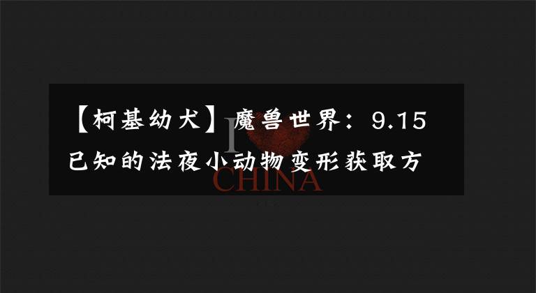 【柯基幼犬】魔兽世界：9.15已知的法夜小动物变形获取方式和部分外观