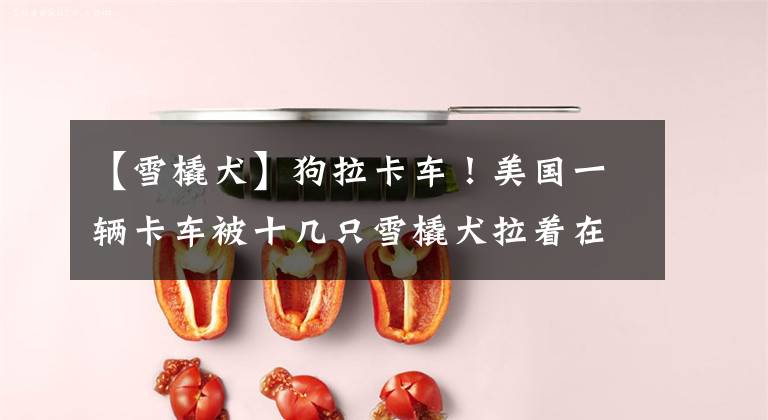 【雪橇犬】狗拉卡车!美国一辆卡车被十几只雪橇犬拉着在路上行驶