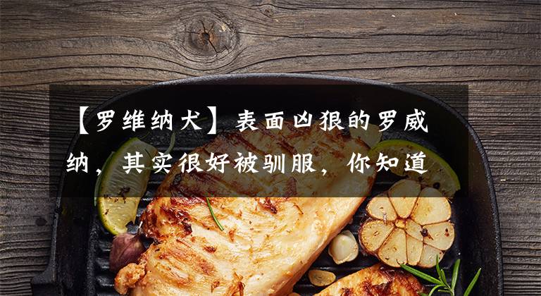 【罗维纳犬】表面凶狠的罗威纳,其实很好被驯服,你知道技巧和方法吗?