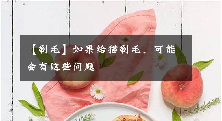 【剃毛】如果给猫剃毛,可能会有这些问题