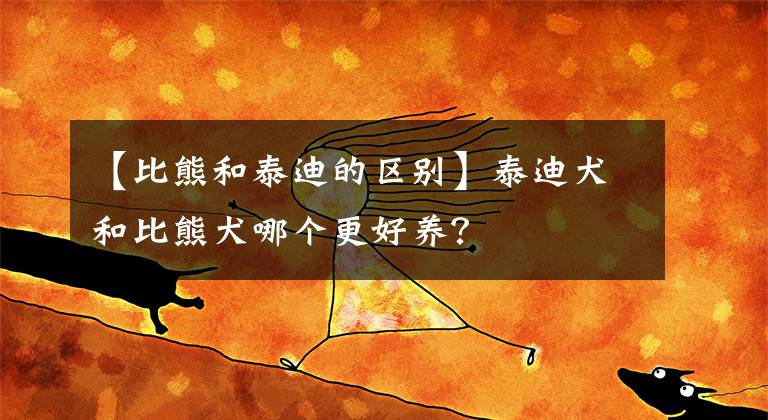 【比熊和泰迪的区别】泰迪犬和比熊犬哪个更好养？