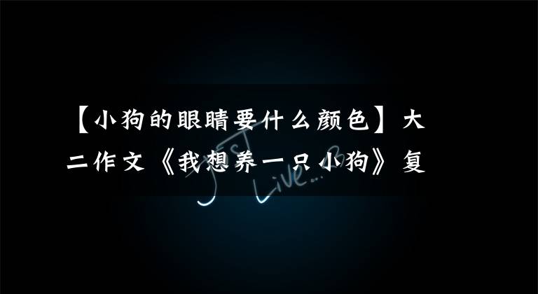 【小狗的眼睛要什么颜色】大二作文《我想养一只小狗》复习