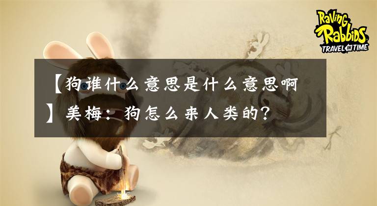 【狗谁什么意思是什么意思啊】美梅：狗怎么来人类的？