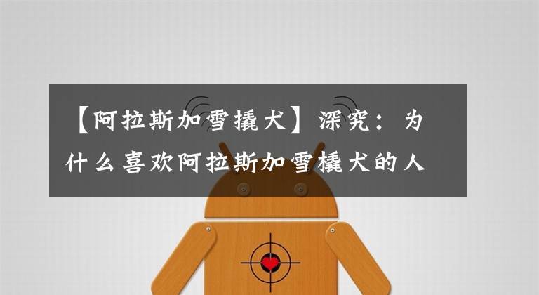 【阿拉斯加雪撬犬】深究:为什么喜欢阿拉斯加雪橇犬的人那么多?