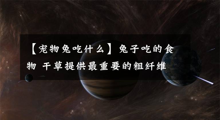【宠物兔吃什么】兔子吃的食物 干草提供最重要的粗纤维
