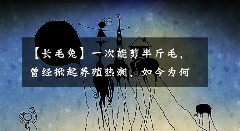 【长毛兔】一次能剪半斤毛，曾经掀起养殖热潮，如今为何销声匿迹了？
