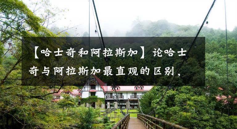 【哈士奇和阿拉斯加】论哈士奇与阿拉斯加最直观的区别，没有对比就没有伤害