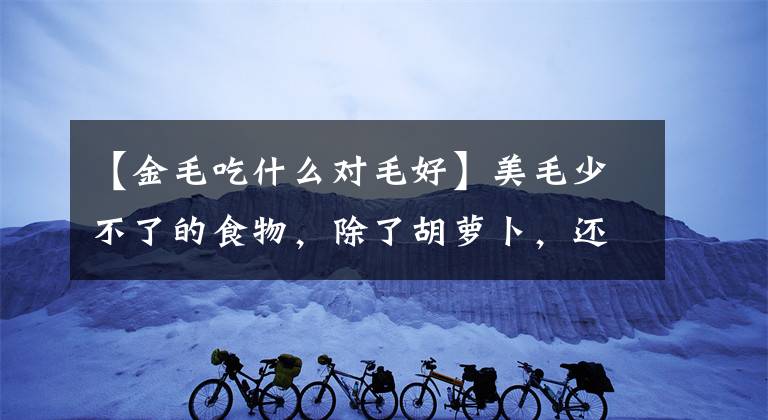【金毛吃什么对毛好】美毛少不了的食物，除了胡萝卜，还少不了这几样东西
