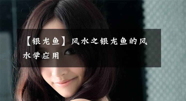 【银龙鱼】风水之银龙鱼的风水学应用