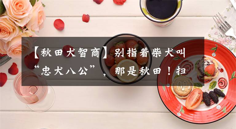 【秋田犬智商】别指着柴犬叫“忠犬八公”，那是秋田！扫盲文：秋田柴犬怎么区分