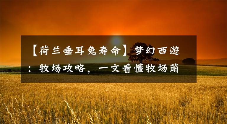 【荷兰垂耳兔寿命】梦幻西游：牧场攻略，一文看懂牧场萌新必看