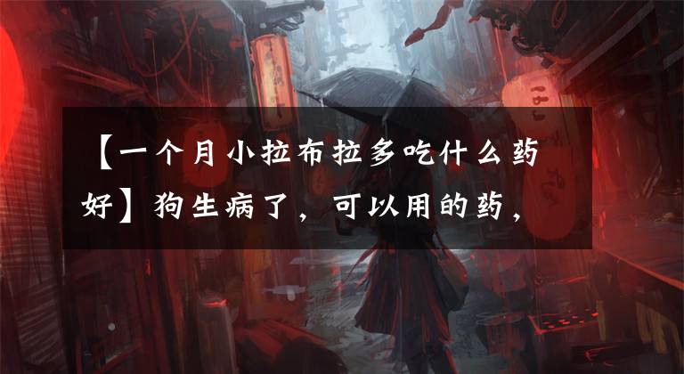 【一个月小拉布拉多吃什么药好】狗生病了,可以用的药,为了以防万一,马起来了
