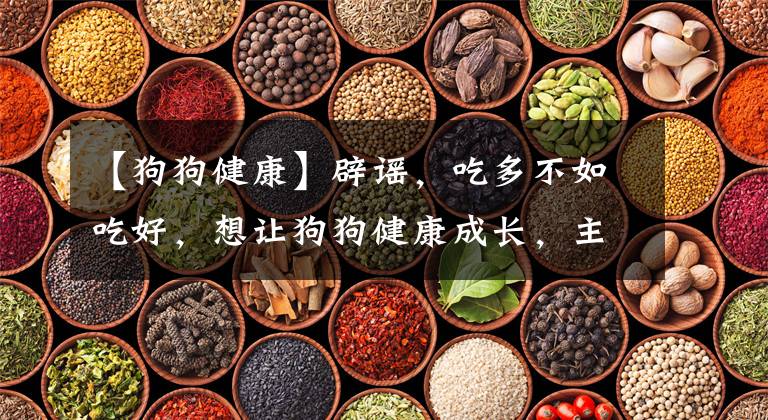 【狗狗健康】辟谣，吃多不如吃好，想让狗狗健康成长，主人需注意三点投喂技巧