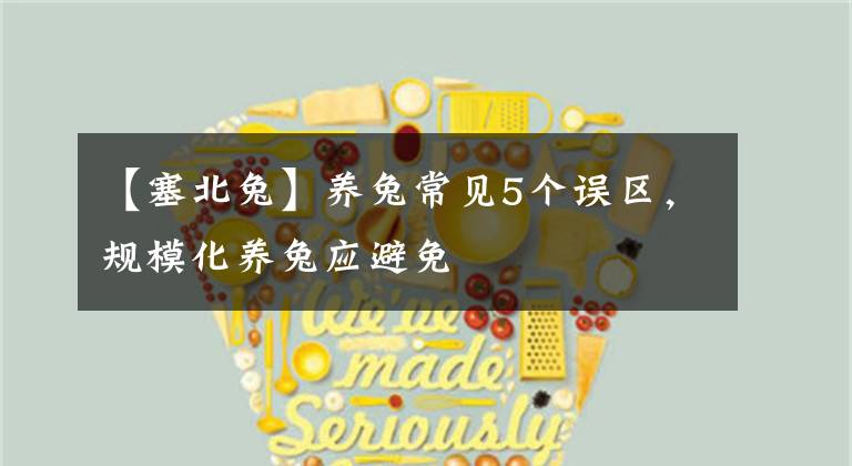 【塞北兔】养兔常见5个误区，规模化养兔应避免