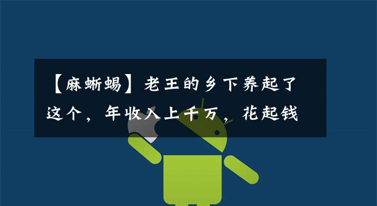 【麻蜥蜴】老王的乡下养起了这个,年收入上千万,花起钱来不眨眼