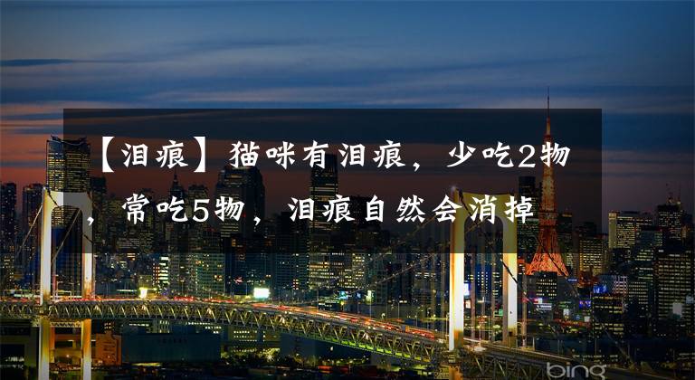 【泪痕】猫咪有泪痕,少吃2物,常吃5物,泪痕自然会消掉