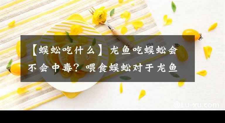 【蜈蚣吃什么】龙鱼吃蜈蚣会不会中毒？喂食蜈蚣对于龙鱼发色是否有作用？