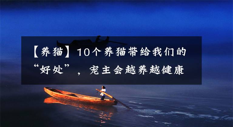 【养猫】10个养猫带给我们的“好处”，宠主会越养越健康