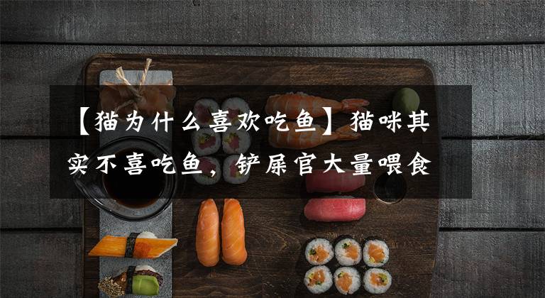 【猫为什么喜欢吃鱼】猫咪其实不喜吃鱼,铲屎官大量喂食将导致爱猫出现四点不良反应