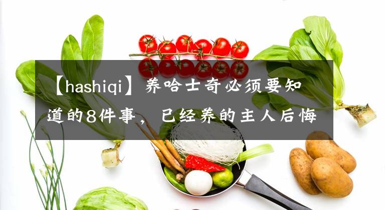 【hashiqi】养哈士奇必须要知道的8件事，已经养的主人后悔了吗？