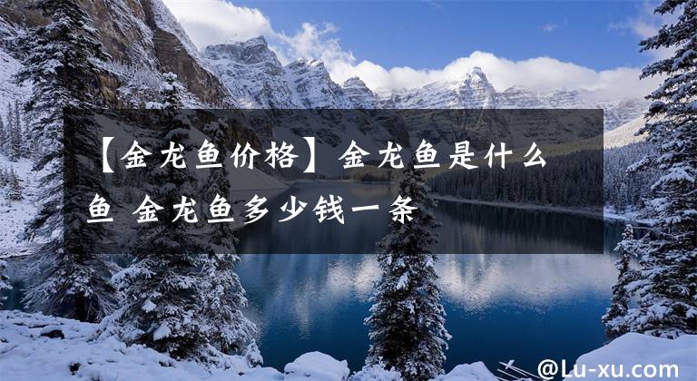 【金龙鱼价格】金龙鱼是什么鱼 金龙鱼多少钱一条