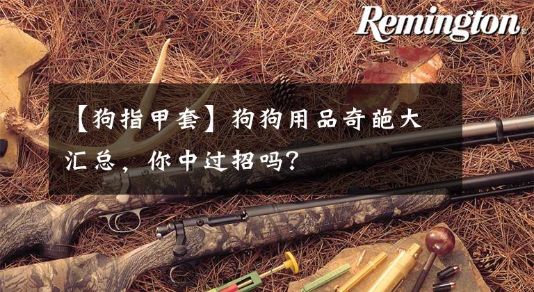 【狗指甲套】狗狗用品奇葩大汇总，你中过招吗？