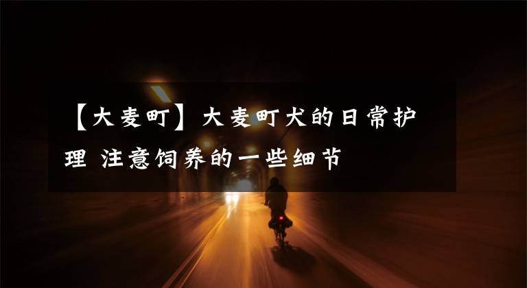 【大麦町】大麦町犬的日常护理 注意饲养的一些细节
