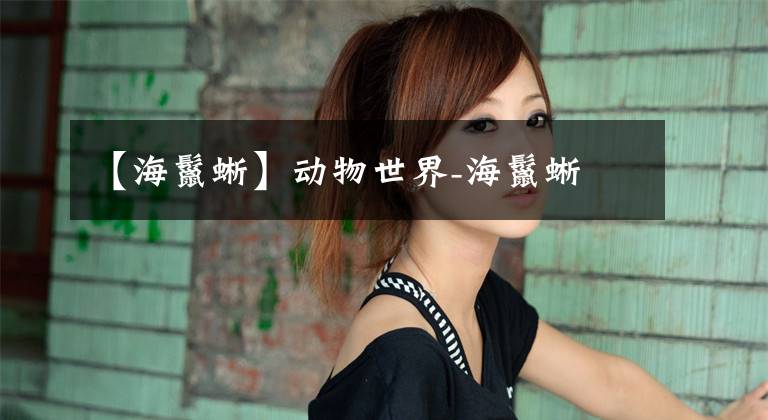 【海鬣蜥】动物世界-海鬣蜥