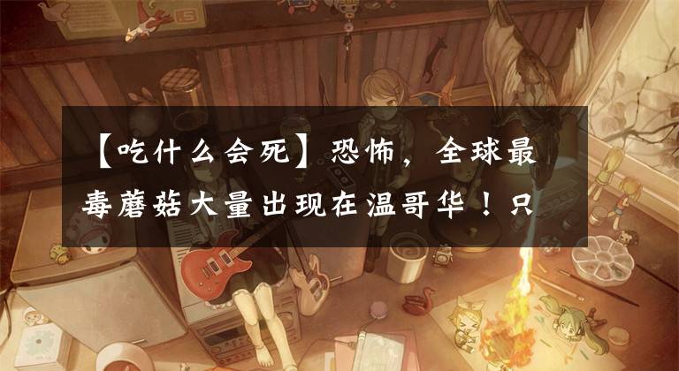 【吃什么会死】恐怖，全球最毒蘑菇大量出现在温哥华！只要吃进一棵人就会死……