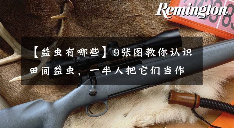 【益虫有哪些】9张图教你认识田间益虫，一半人把它们当作了害虫！你认识几种？