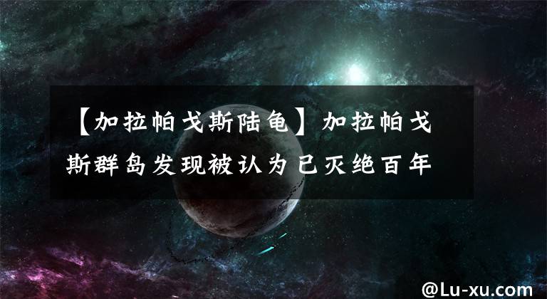 【加拉帕戈斯陆龟】加拉帕戈斯群岛发现被认为已灭绝百年的巨型龟