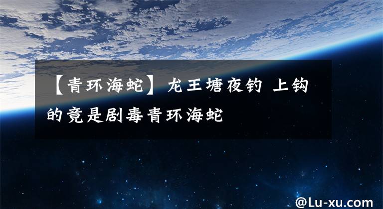 【青环海蛇】龙王塘夜钓 上钩的竟是剧毒青环海蛇