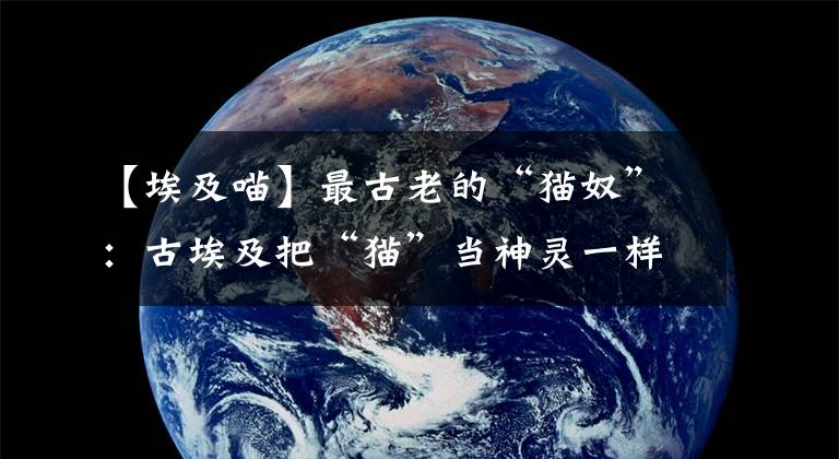 【埃及喵】最古老的“猫奴”：古埃及把“猫”当神灵一样崇拜，并做成木乃伊