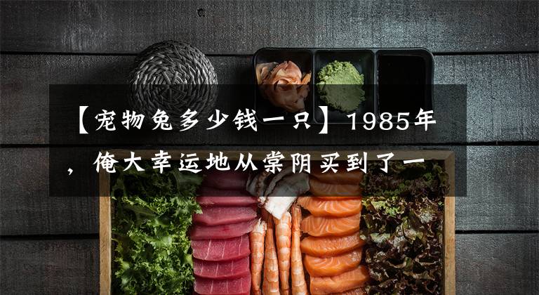 【宠物兔多少钱一只】1985年，俺大幸运地从棠阴买到了一只价值50马克的纯种西德长毛兔