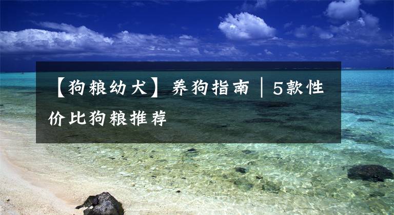 【狗粮幼犬】养狗指南｜5款性价比狗粮推荐