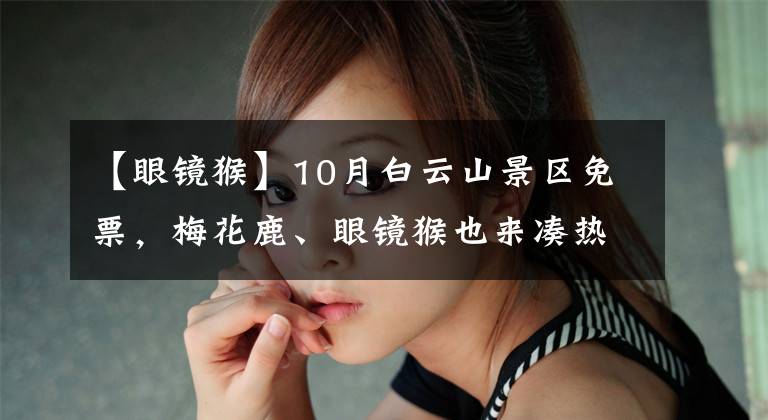 【眼镜猴】10月白云山景区免票，梅花鹿、眼镜猴也来凑热闹！