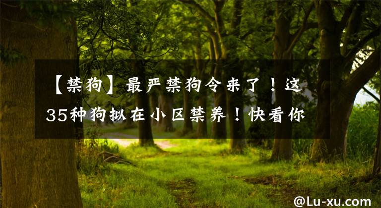 【禁狗】最严禁狗令来了！这35种狗拟在小区禁养！快看你的“合格”吗