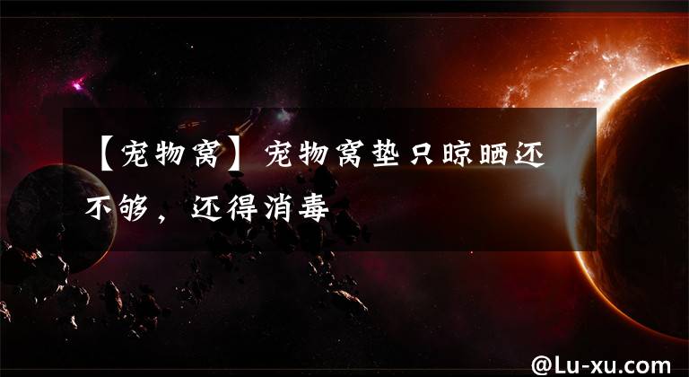 【宠物窝】宠物窝垫只晾晒还不够,还得消毒