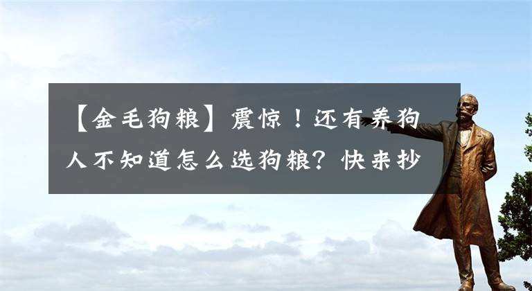 【金毛狗粮】震惊！还有养狗人不知道怎么选狗粮？快来抄作业