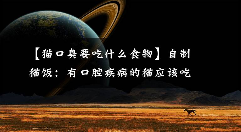 【猫口臭要吃什么食物】自制猫饭：有口腔疾病的猫应该吃什么？