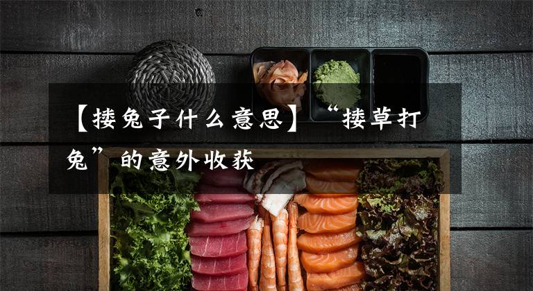 【搂兔子什么意思】“搂草打兔”的意外收获