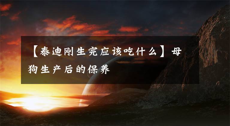 【泰迪刚生完应该吃什么】母狗生产后的保养