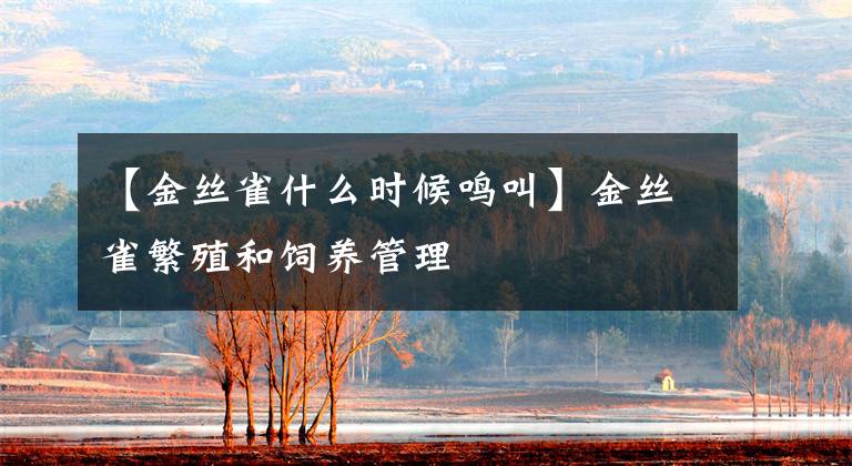 【金丝雀什么时候鸣叫】金丝雀繁殖和饲养管理