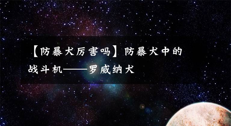 【防暴犬厉害吗】防暴犬中的战斗机——罗威纳犬