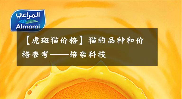 【虎斑猫价格】猫的品种和价格参考——倍亲科技