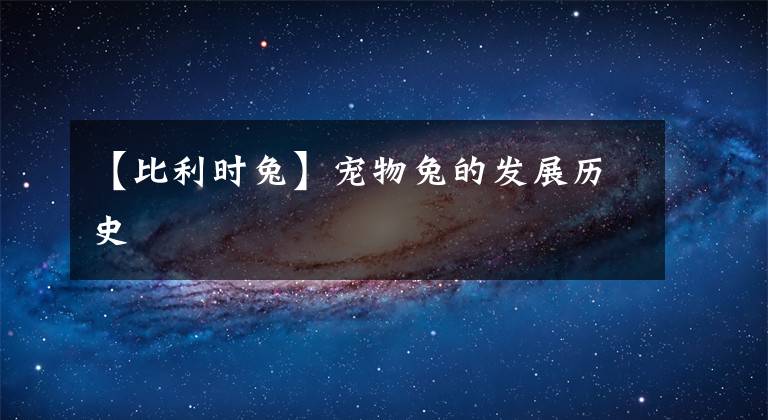 【比利时兔】宠物兔的发展历史