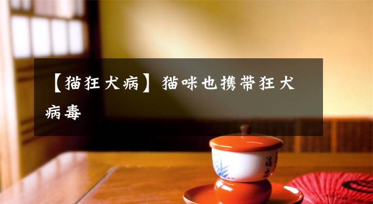 【猫狂犬病】猫咪也携带狂犬病毒